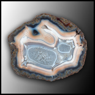 MRC343JR Moroccan Agate Specimen