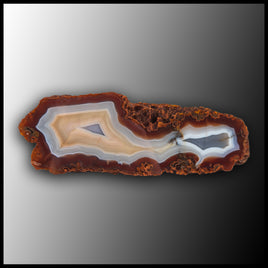 MRC346JR Moroccan Agate Specimen