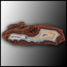 MRC347JR Moroccan Agate Specimen