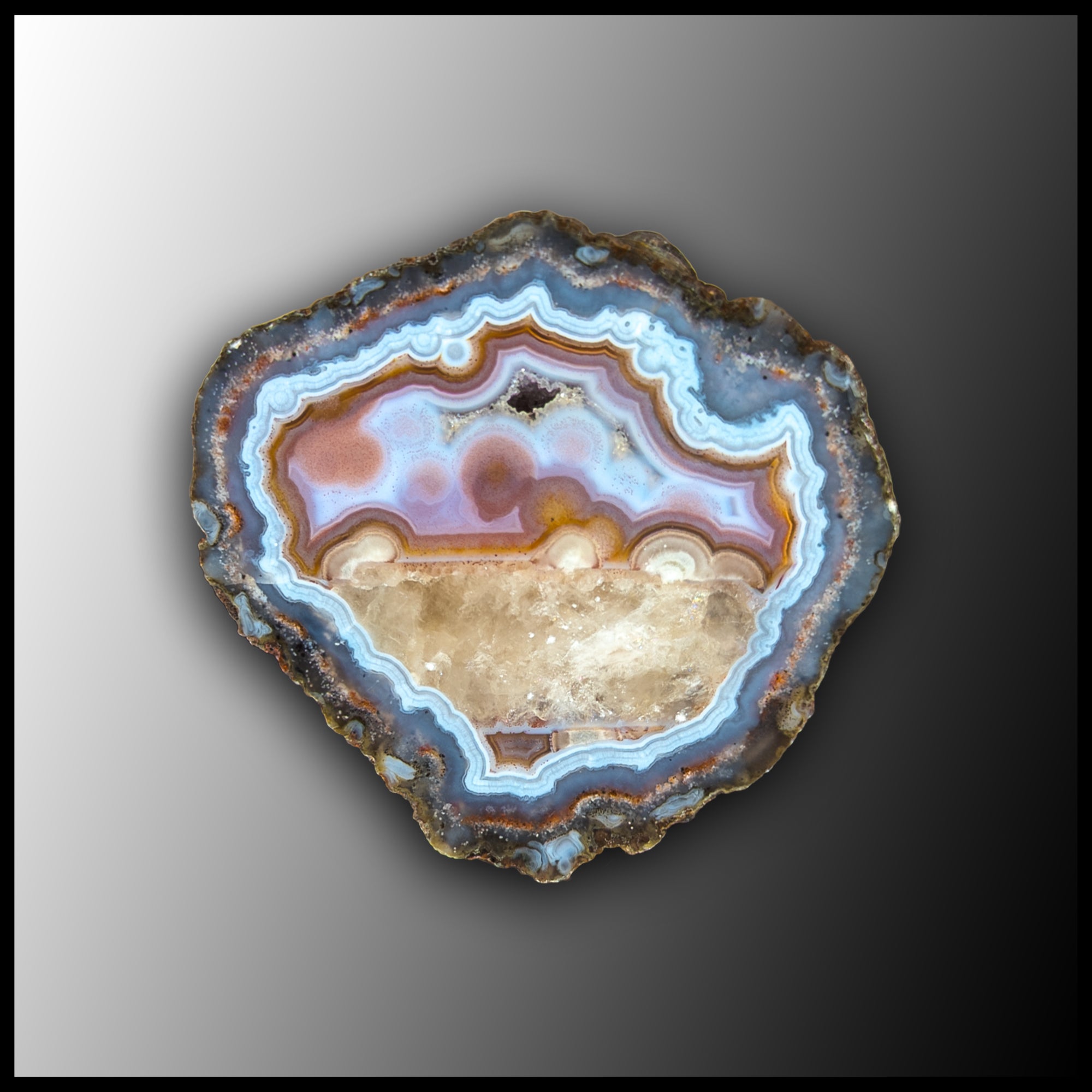 標本 Very Rare Mecosarthron buphagus 65mm MRC350JR Moroccan Agate Specimen| The Gem Shop, Inc.