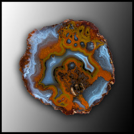 MRC351JR Moroccan Agate Specimen