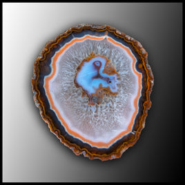 MRC356JR Moroccan Agate Specimen