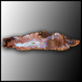 MRC358JR Moroccan Agate Specimen