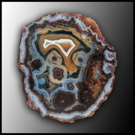 MRC359JR Moroccan Agate Specimen