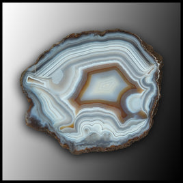 MRC364JR Moroccan Agate Specimen