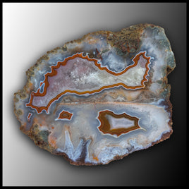 MRC369JR Moroccan Agate Specimen