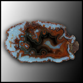 MRC370JR Moroccan Agate Specimen