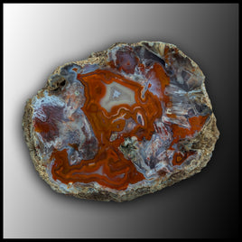 MRC372JR Moroccan Agate Specimen