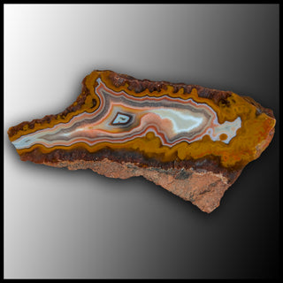 MRC374JR Moroccan Agate Specimen