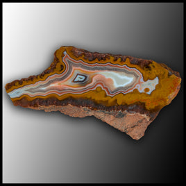 MRC374JR Moroccan Agate Specimen