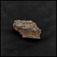 MTR101 Sikhote-Alin Meteorite