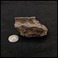 MTR101 Sikhote-Alin Meteorite