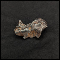 MTR102 Sikhote-Alin Meteorite