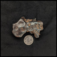 MTR102 Sikhote-Alin Meteorite