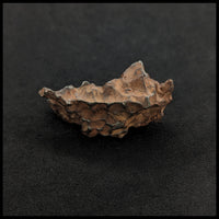 MTR103 Sikhote-Alin Meteorite