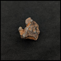 MTR104 Sikhote-Alin Meteorite