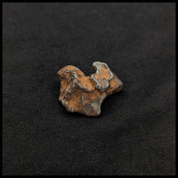 MTR104 Sikhote-Alin Meteorite