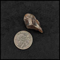MTR105 Sikhote-Alin Meteorite