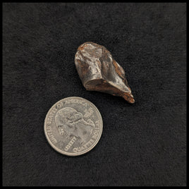 MTR105 Sikhote-Alin Meteorite