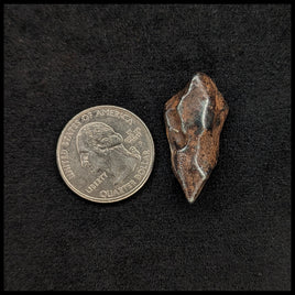 MTR106 Sikhote-Alin Meteorite