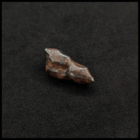 MTR106 Sikhote-Alin Meteorite