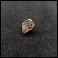 MTR117 Gau-Guenie Meteorite