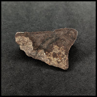 MTR119 Gau-Guenie Meteorite