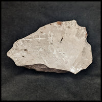 MTR120 Gibeon Meteorite