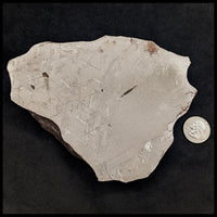 MTR120 Gibeon Meteorite