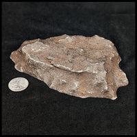 MTR120 Gibeon Meteorite