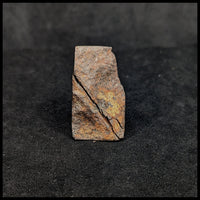 MTR123 Gibeon Meteorite