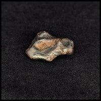 MTR132 Sikhote-Alin Meteorite