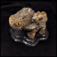 NAPT101 Nature's Paintbrush Toads Carving