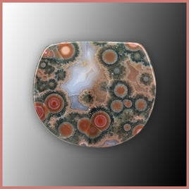 OCE871cc Ocean Jasper® Cabochon