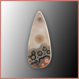 OCE873cc Ocean Jasper® Cabochon