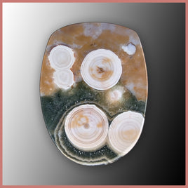 OCE884cc Ocean Jasper® Cabochon