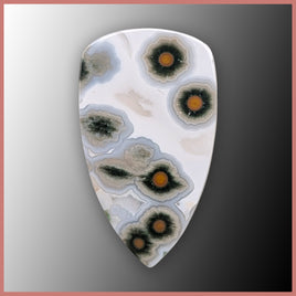 OCE886cc Ocean Jasper® Cabochon