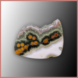 OCE888cc Ocean Jasper® Cabochon
