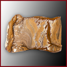 OWY101tr Owyhee Picture Jasper Specimen
