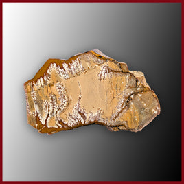 OWY102tr Owyhee Picture Jasper Specimen