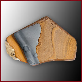 OWY103tr Owyhee Picture Jasper Specimen