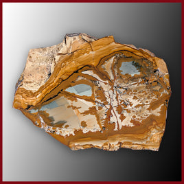 OWY105tr Owyhee Picture Jasper Specimen