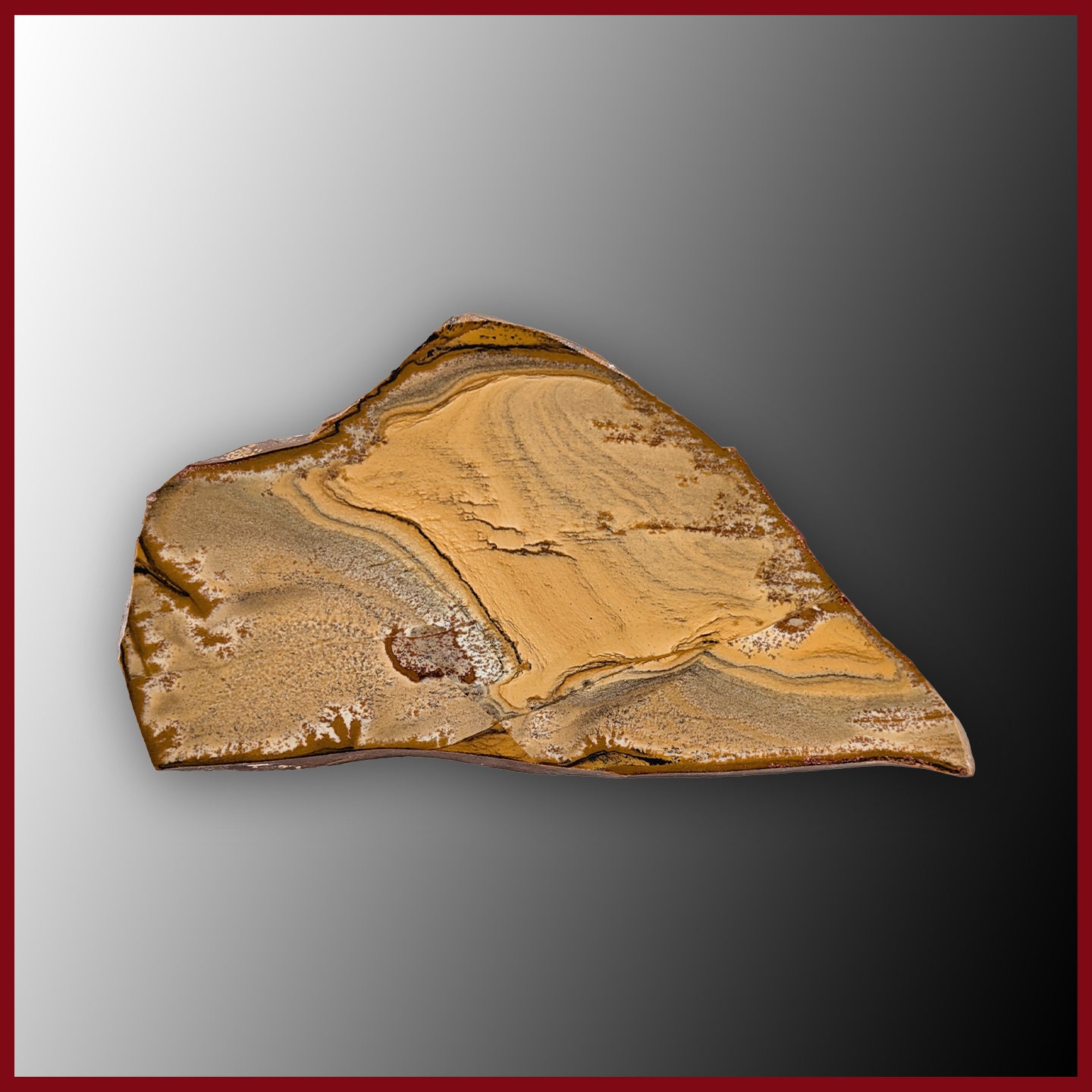 OWY106tr Owyhee Picture Jasper Slab| The Gem Shop, Inc.