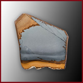 OWY109tr Owyhee Picture Jasper Slab