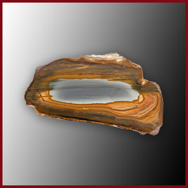 OWY111tr Owyhee Picture Jasper Slab