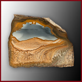 OWY112tr Owyhee Picture Jasper Slab