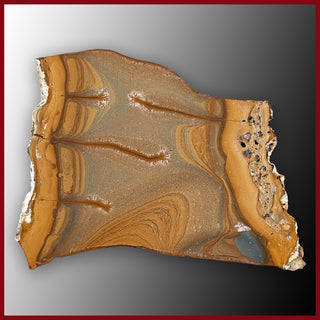 OWY113tr Owyhee Picture Jasper Slab