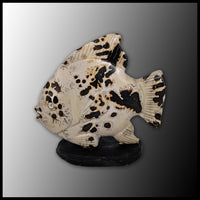 Nature's Paintbrush Fish - 6cm
