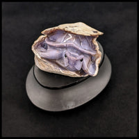 PCHT102 Purple Chalcedony Turtle Carving
