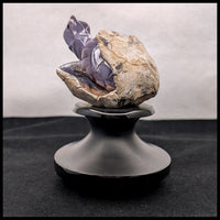 PCHT102 Purple Chalcedony Turtle Carving